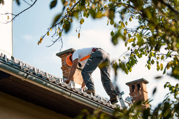 Best Commercial Roofing Services  in Walnut Grove, CA