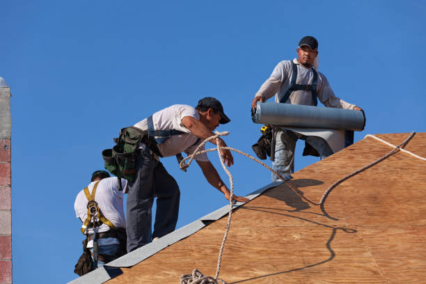 Roof Gutter Cleaning in Walnut Grove, CA